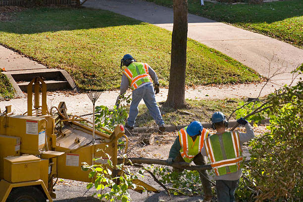 Best Utility Line Clearance  in Strathmore, NJ